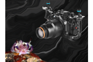 Underwater macro photography with Nauticam MFO-1 lens