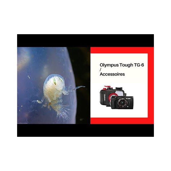 Olympus Tough TG-6 Black + PT-059 underwater housing