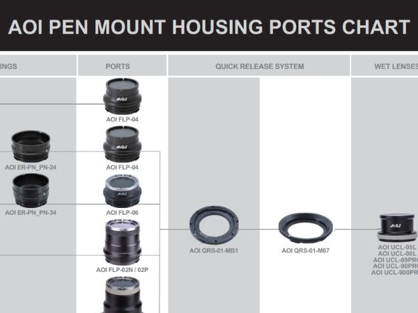 AOI port system explained