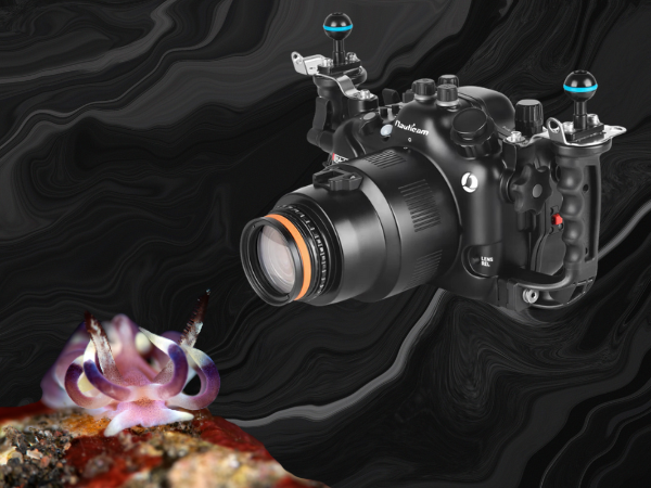 Underwater macro photography with Nauticam MFO-1 lens