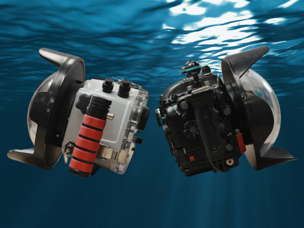 Nauticam vs. Ikelite: Which Underwater Housing is Best?