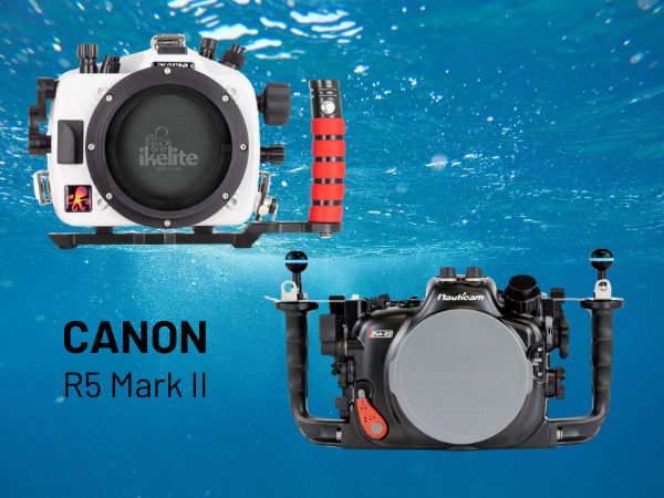 Nauticam and Ikelite underwater housing for Canon EOS R5 II