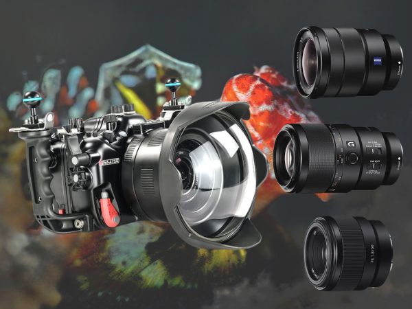 Best Sony Lenses for Underwater Photography – Wide-Angle and Macro Shots