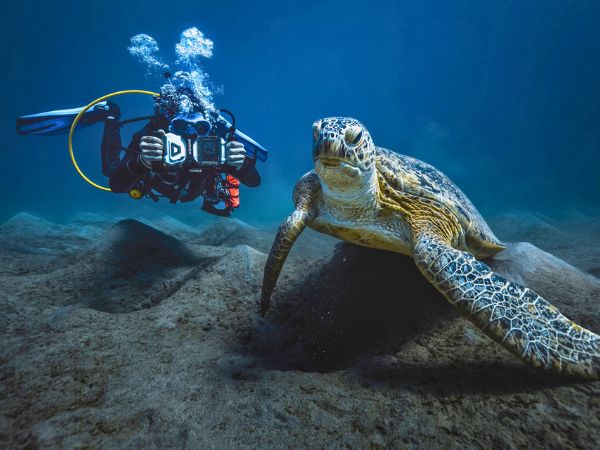 Scuba diving and snorkeling with your smartphone