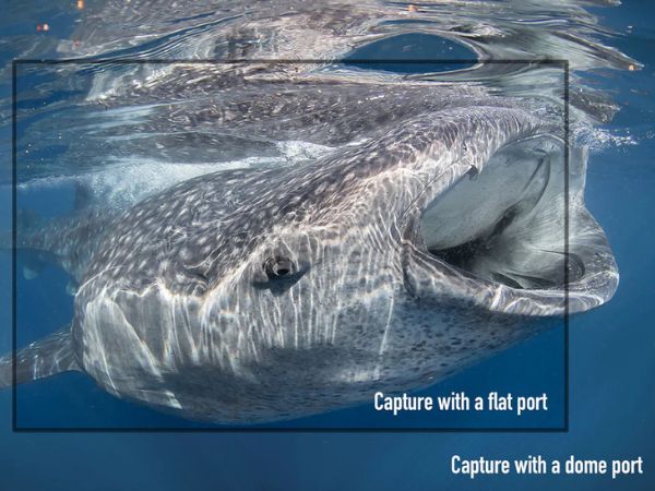 Comparison of dome and flat ports for underwater cameras, shown side by side