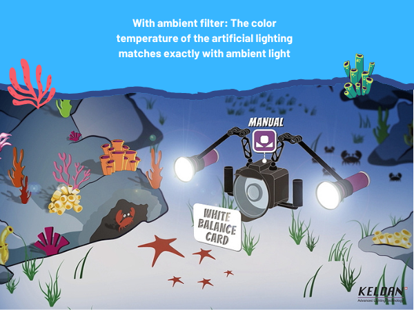 Colors underwater with ambient filter