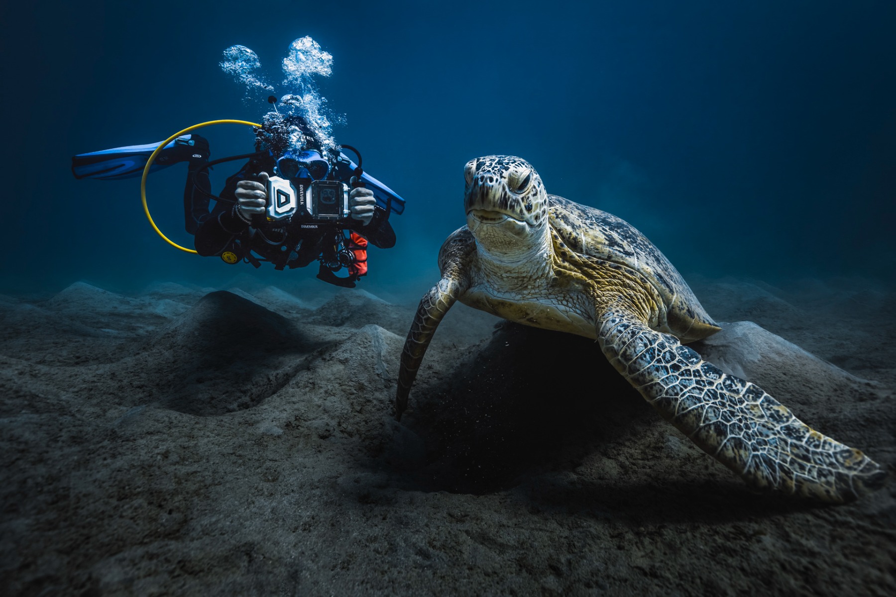 Underwater Photography with your smartphone