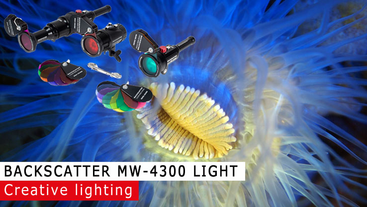 Backscatter MW-4300 lamp